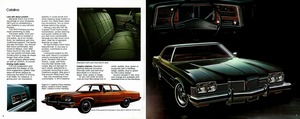 1973 Pontiac Full Size (Cdn)-08-09.jpg